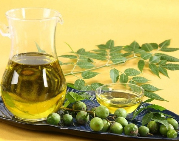 Dịch chiết lá neem thường được tìm thấy trong các sản phẩm trị mụn trứng cá 